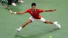 Davis Cup, finále Srbsko-ČR: Novak Djokovič