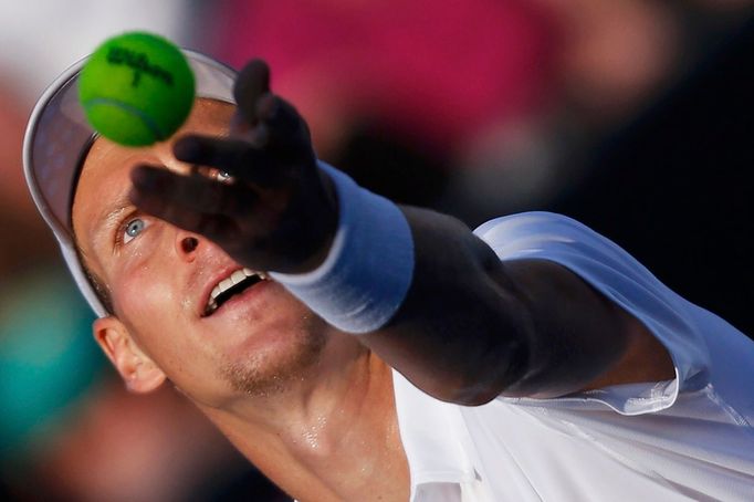 Australian Open: Tomáš Berdych