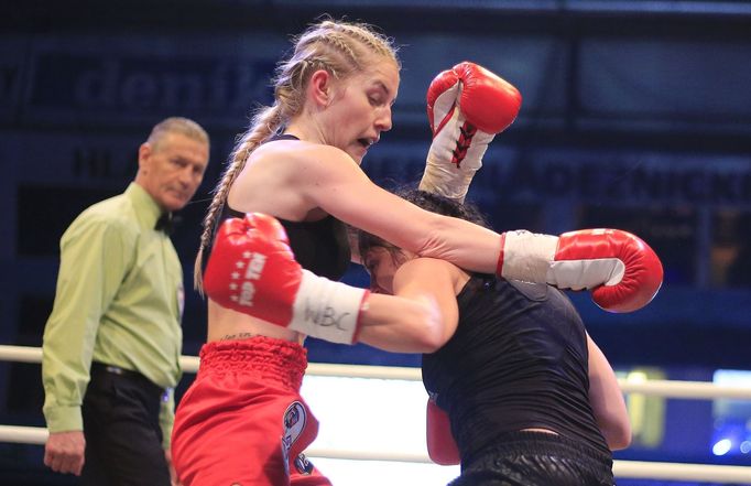 Box Plzeň 5.3.2016: Fabiana Bytyqi