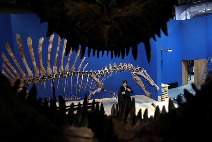 Výzkum nalezené fosílie ukázal, že dinosaurus mohl vážit přibližně šest tun a jeho tělo zakončené dlouhým ocasem měřilo asi 15 metrů.