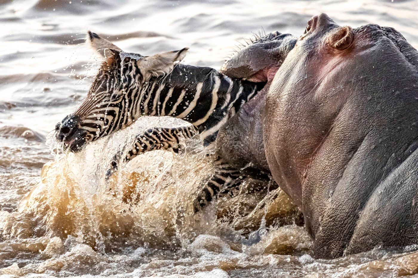 S foťákem kolem světa.