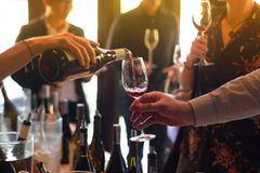 Čeští vinaři odmítají zdanění tichého vína, zvýhodnilo by to vinaře z ciziny