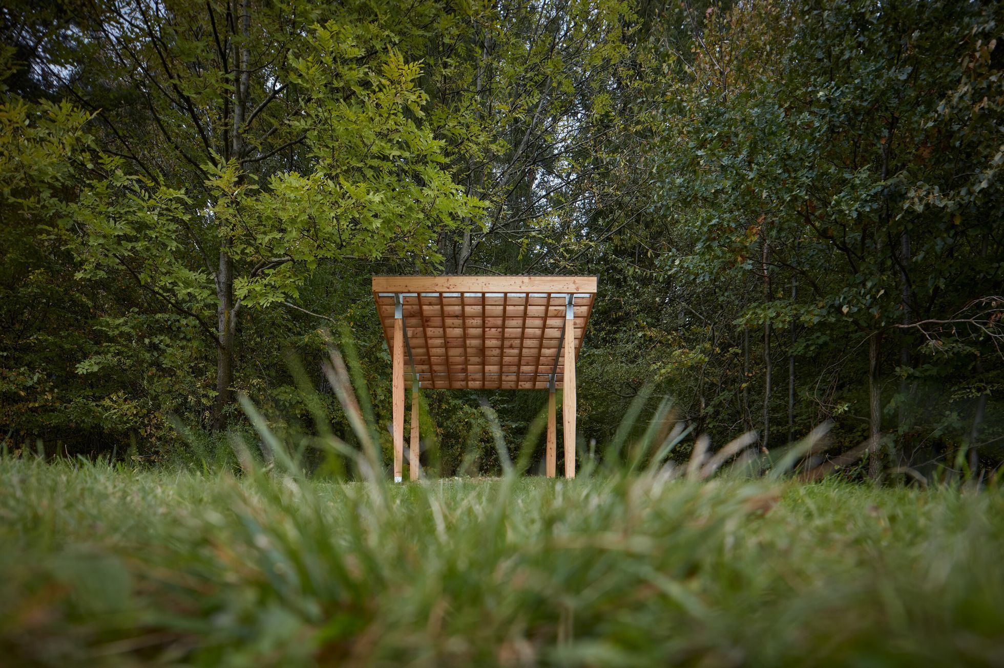 Yogapointy v Moravskoslezském kraji