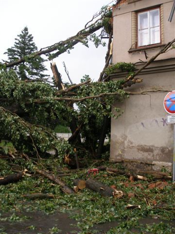 Bouřka lámala stromy a trhala střechy