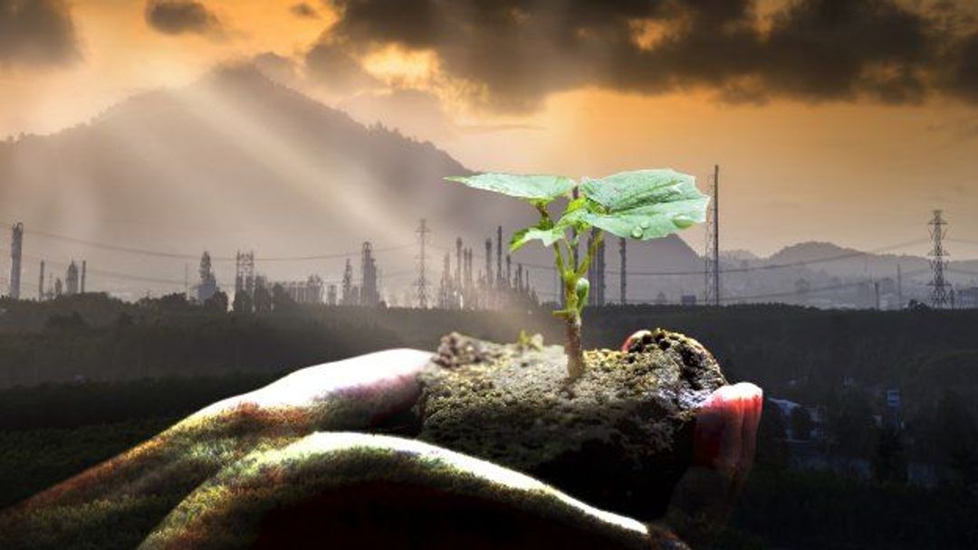 Jak být eco-friendly? Poradíme, jak na odpadky