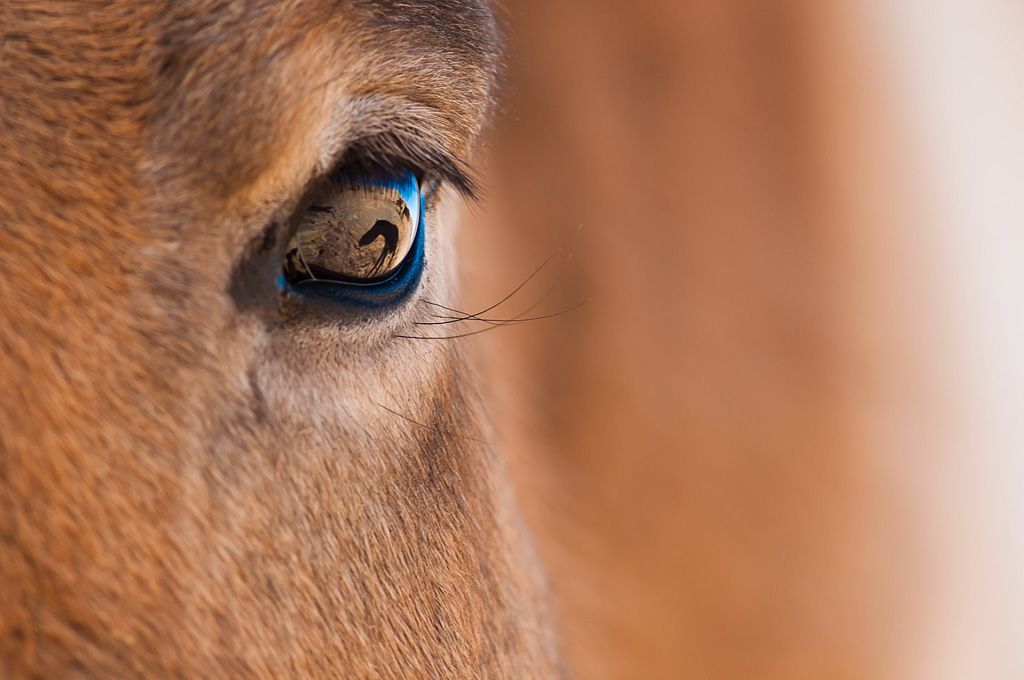 Foto: Krása Mongolska očima fotografa Petra Juračky !!! Fotografie nepoužívat v článcích !!!
