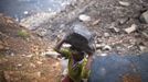 A boy carries a piece of coal at an open cast coal field at Dhanbad district in the eastern Indian state of Jharkhand September 20, 2012. With oil and gas output disappointing and hydropower at full throttle, Asia's third-largest economy still relies on coal for most of its vast energy needs. About 75 percent of India's coal demand is met by domestic production and, according to government plans, that won't change over the next five years. Picture taken September 20, 2012. To match INDIA-COAL/ REUTERS/Ahmad Masood (INDIA - Tags: BUSINESS EMPLOYMENT ENERGY SOCIETY ENVIRONMENT) Published: Říj. 21, 2012, 10:23 odp.