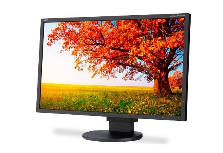 NEC EA224WMi