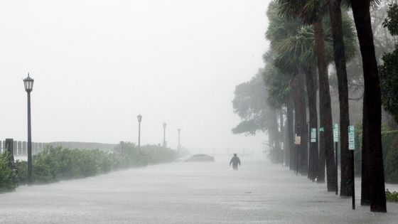 Obrazy zkázy: Hurikán Matthew udeřil na Jižní Karolínu, škody mohou být větší než na Floridě