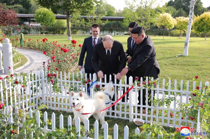 Vladimir Putin a Kim Čong-un si prohlížejí psy, které severokorejský vůdce daroval ruskému prezidentovi.