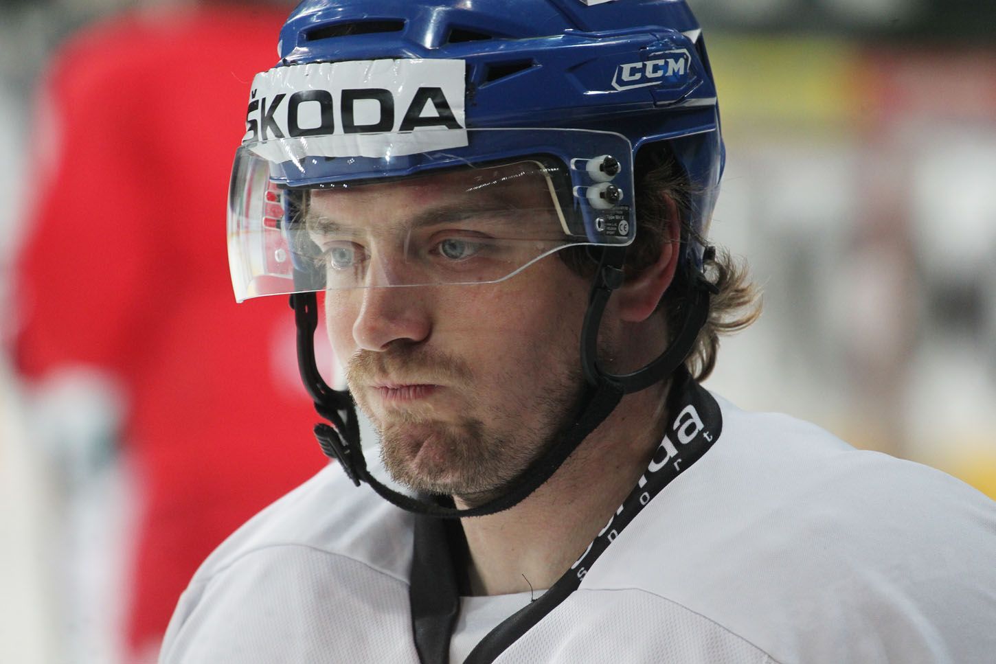 Trénink české hokejové reprezentace (Petr Koukal)