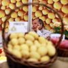 Země živitelka 2010