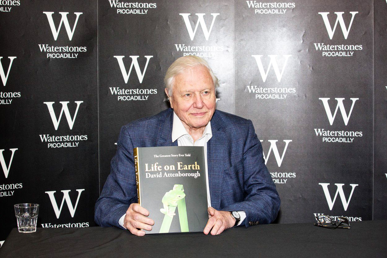 Jednorázové užití / Fotogalerie / Legendární britský přírodovědec David Attenborough slaví 95. narozeniny