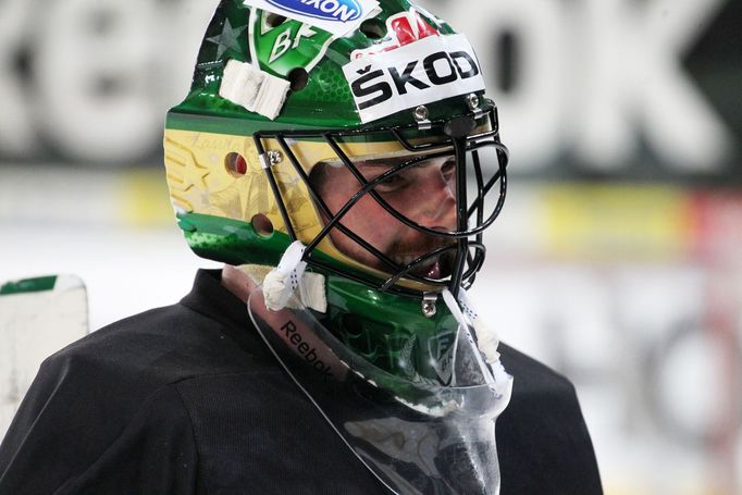 Trénink české hokejové reprezentace (Alexandr Salák)