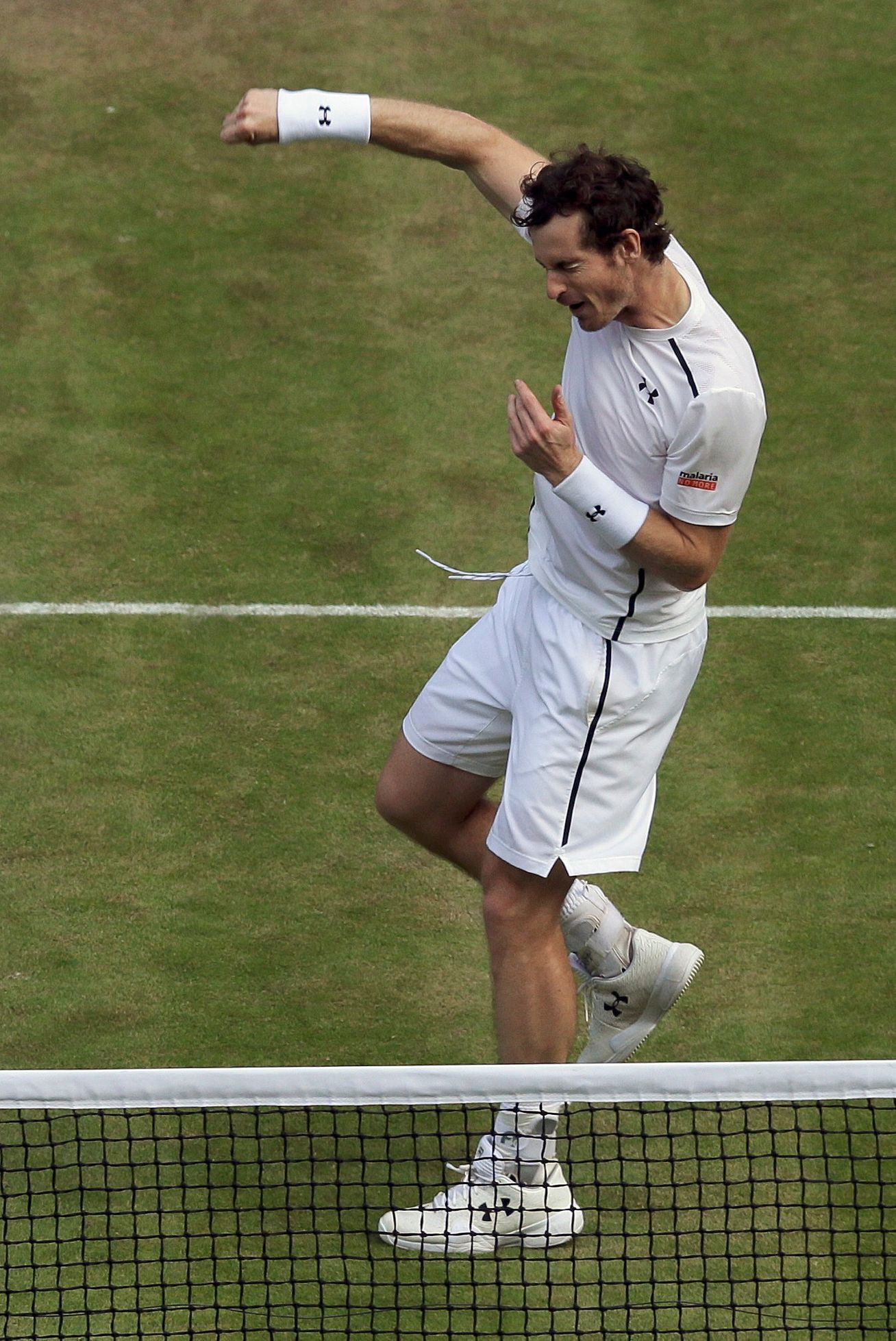 Andy Murray v semifinále Wimbledonu 2016