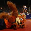 Mnichov 2022: veverka Gfreidi - maskot ME v atletice