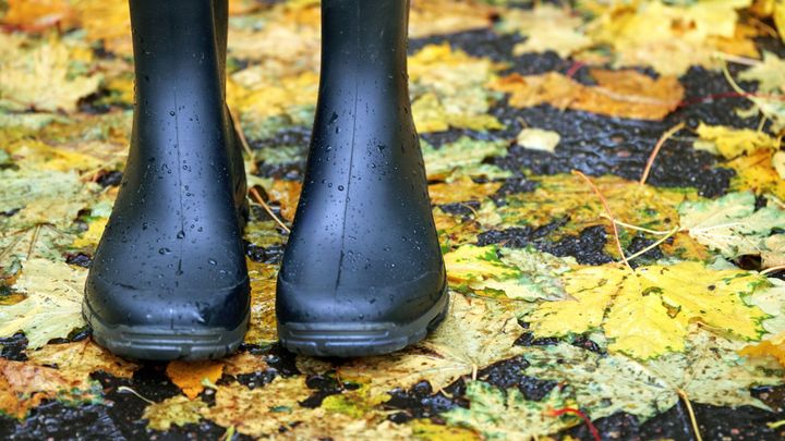 Velké mrazy zatím nehrozí, ochlazovat se bude postupně. Příští týden bude deštivý