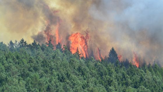 Foto: Na Rokycansku hoří les. Pomáhá i vojenský vrtulník