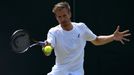 Wimbledon 2018: Peter Gojowczyk