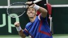 DC, Česko - Nizozemsko: Tomáš Berdych