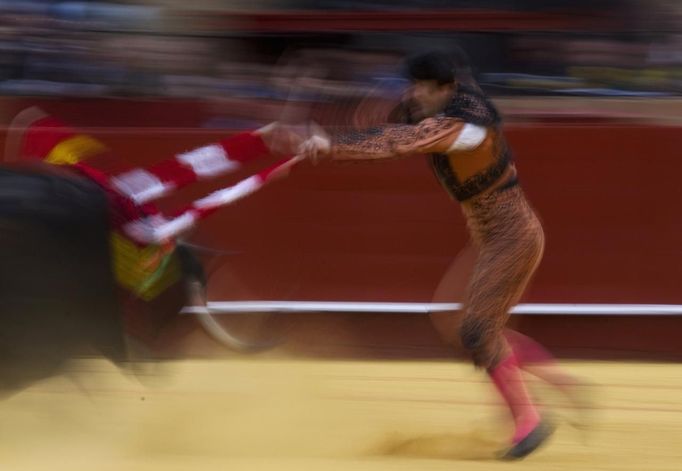 Spanish banderillero Jose Ballesteros drives banderillas into a bull during a bullfight in Seville