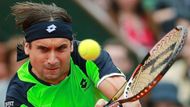 31letý David  Ferrer byl v neděli ve svém prvním finále grandslamového turnaje v kariéře. Na velký triumf si ale ještě musí počkat.