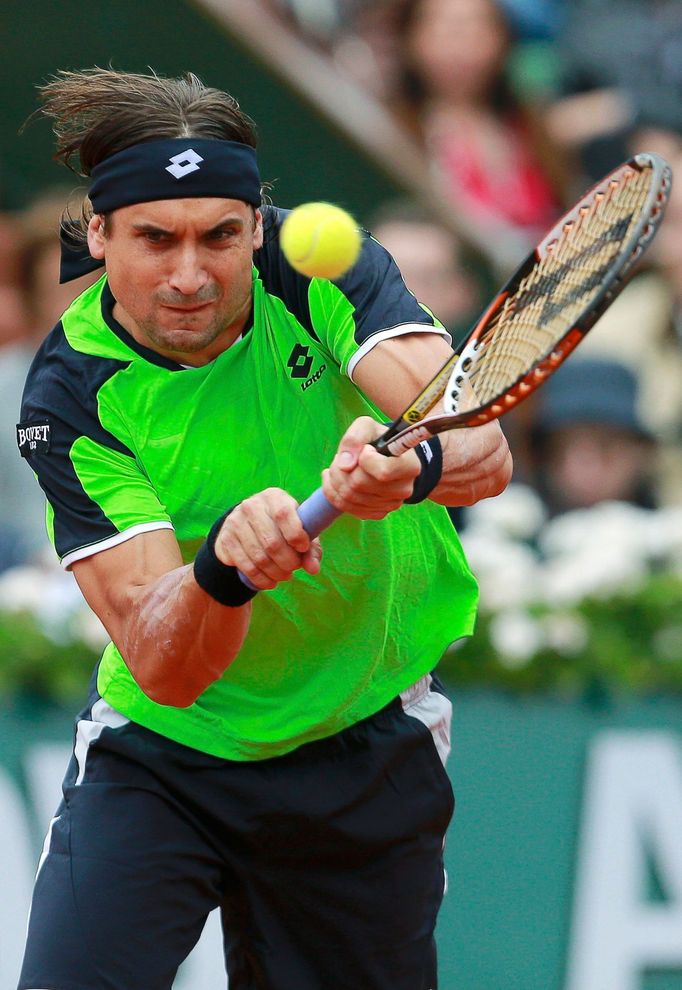 Tenis, French Open, finále: David Ferrer