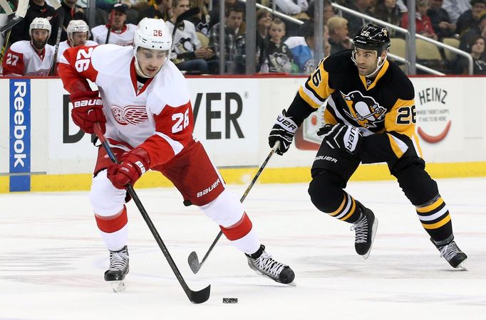 Tomáš Jurčo (Detroit Red Wings) a Daniel Winnik (Pittsburgh Penguins)