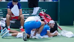 Tennis: Davis Cup