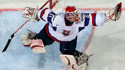 Hokej, MS 2013: Slovensko - Německo: Rastislav Staňa