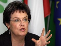Místopředsedkyně Strany zelených Dana Kuchtová.