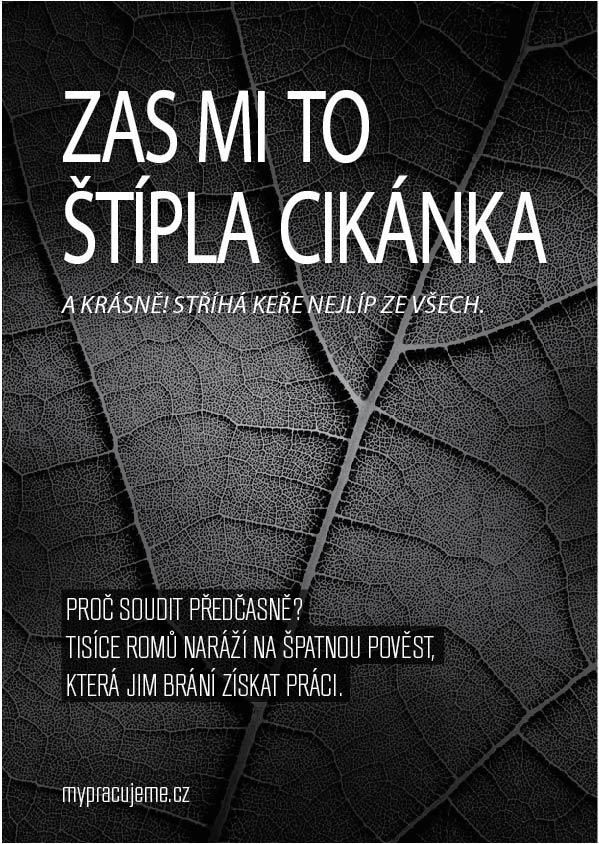 Cikánská kampaň