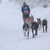 Šediváčkův long 2019, Orlické hory