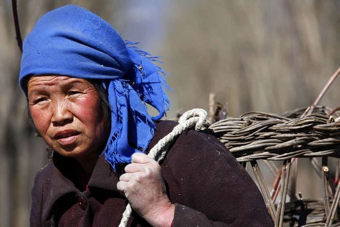 Žena sbírá dřevo na topení. Patří to k jejím každodenním činnostem života poblíž vesnice Tchang Tung Cchun, na předměstí Pekingu.