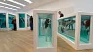 Damien Hirst v Tate Modern