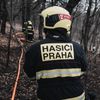 Les, požár, Praha, hasiči