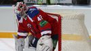 Hokejový brankář Tomáš Pöpperle v utkání KHL 2012/13 mezi Lvem Praha s Dinamem Riga .