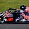 F1 2019: Max Verstappen, Red Bull RB15