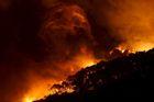 Jih Austrálie zachvátily lesní požáry. Za poslední týden zničily více než sto domů