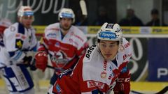 David Tomášek, HC Dynamo Pardubice