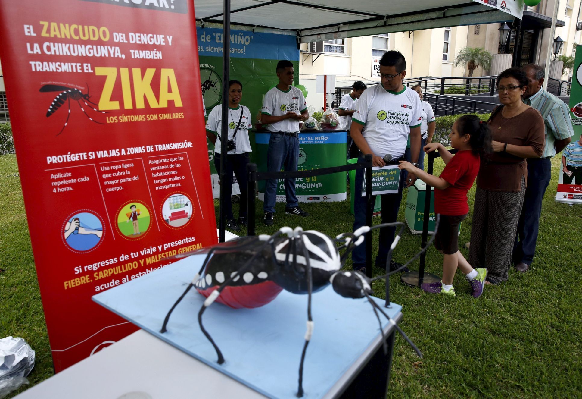 Zika virus v jižní Americe