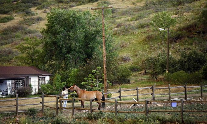 Sharon Buccino of Fort Collins, Colorado, soothes a horse as the High Park Fire approaches the property where she boards another horse near Laporte, Colorado June 10, 2012. The fire started on Saturday and was estimated at more than 14,000 acres on Sunday morning. At least 18 structures were lost or damaged due to the fire with more threatened and officials are searching for one person believed to be missing. The cause of the fire is unknown and it remains at zero percent containment. REUTERS/Marc Piscotty (UNITED STATES - Tags: ANIMALS DISASTER ENVIRONMENT) Published: Čer. 10, 2012, 11:57 odp.