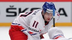 Hokej, MS 2013, Česko - Kanada: Petr Hubáček