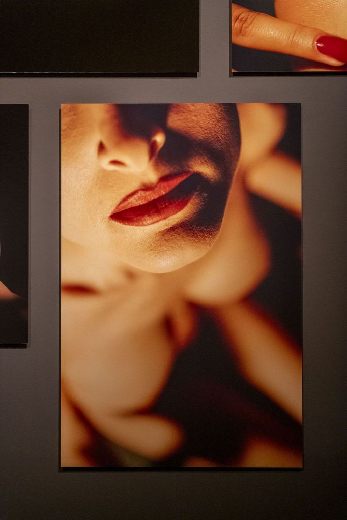 Pohled do výstavy David Lynch: Up in Flames, která je k vidění v pražském DOXu do 8. února 2026.