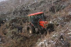 Lesníci těží v tatranských dolinách, protestují i Češi