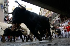 Šílenci v ulicích utíkají před býky. Pamplona slaví San Fermin