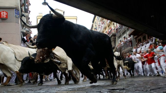 Šílenci v ulicích utíkají před býky. Pamplona slaví San Fermin