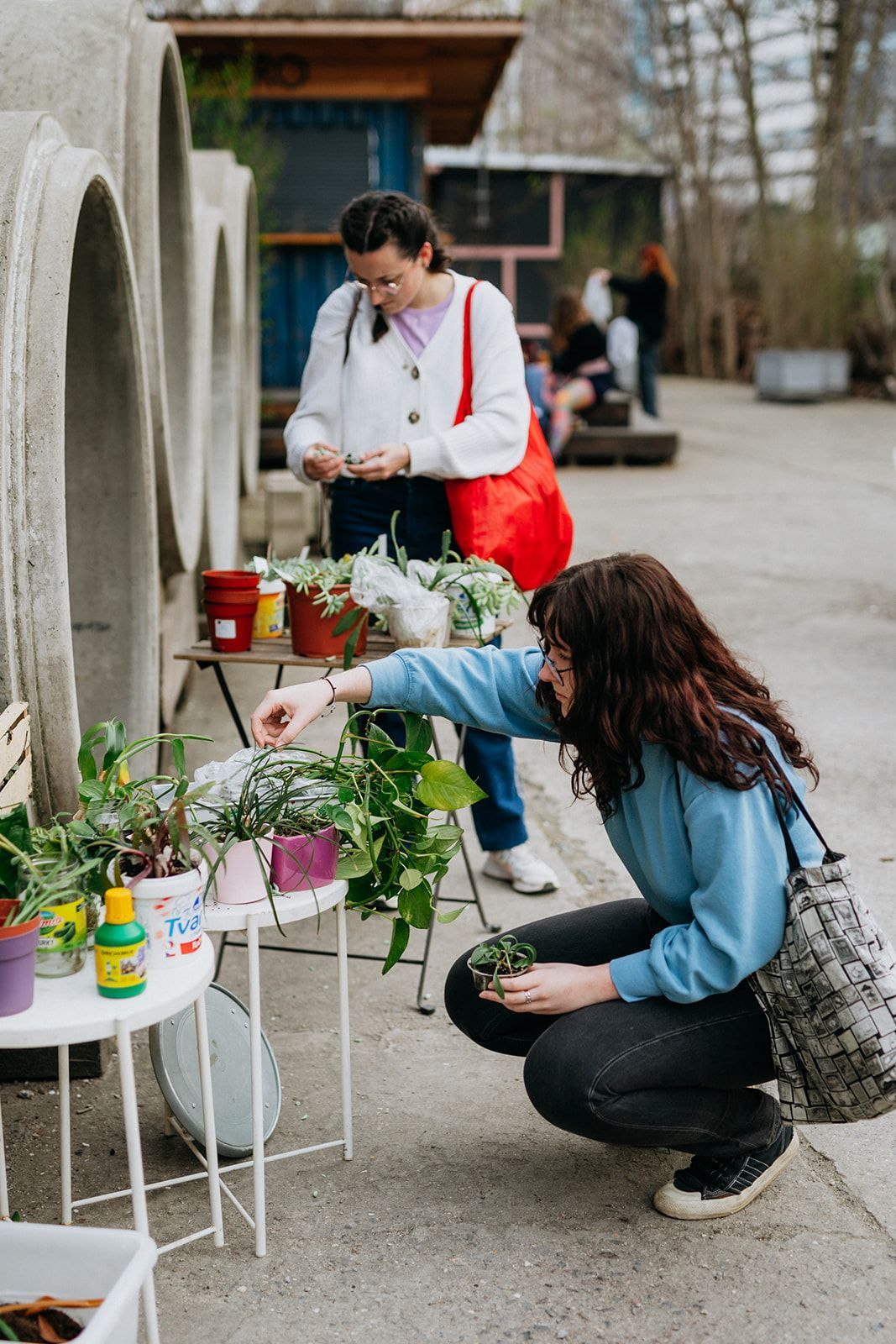 swap, výměna, oblečení, udržitelnost, projekt, pomoc