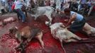 Men hold a cow for slaughtering during Eid al-Adha festival in Karachi October 27, 2012. Muslims around the world celebrate Eid-al-Adha, marking the end of the haj, by slaughtering sheep, goats, cows and camels to commemorate Prophet Abraham's willingness to sacrifice his son Ismail on God's command. REUTERS/Athar Hussain (PAKISTAN - Tags: RELIGION ANIMALS SOCIETY TPX IMAGES OF THE DAY) Published: Říj. 27, 2012, 2:10 odp.