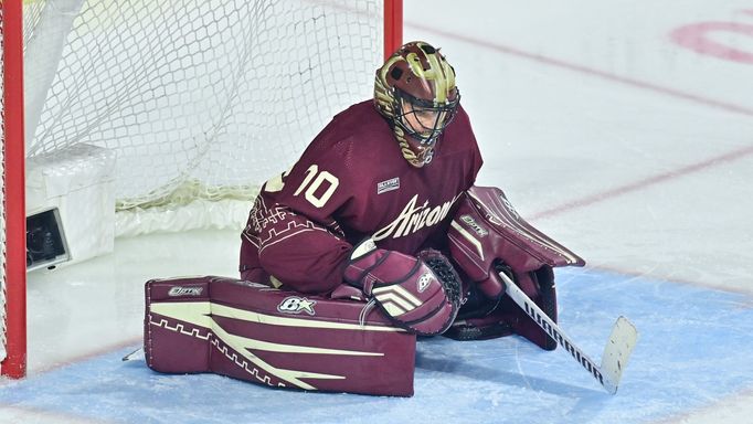 Brankář Arizony Karel Vejmelka při utkání s Minnesotou